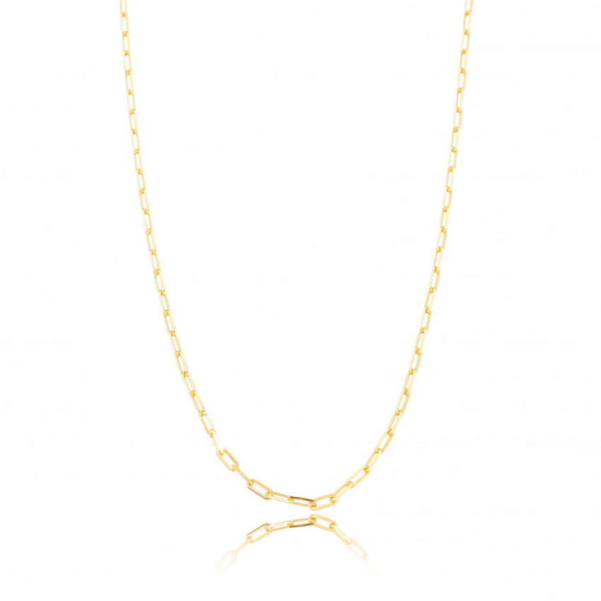 Long Link chain necklace