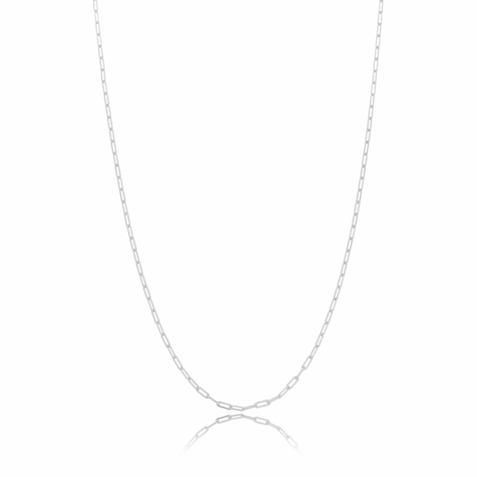 Long link necklace